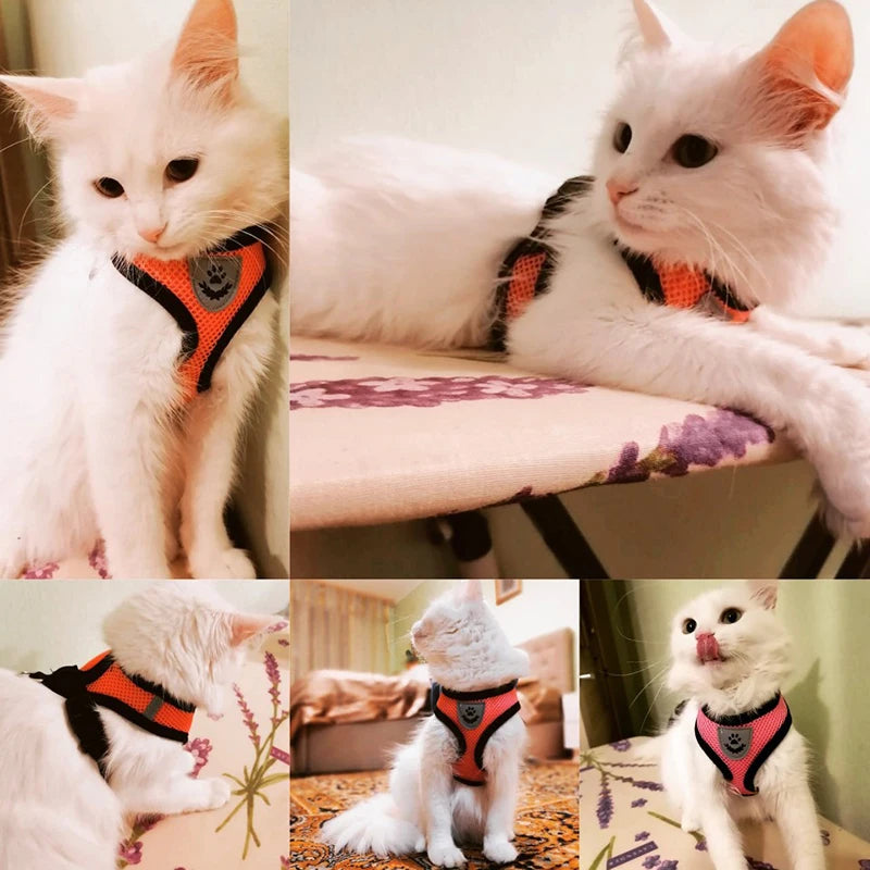 Cat Harness Vest Walking Lead Leash - Adjustable Mesh Dog Harness