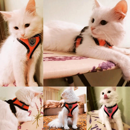 Cat Harness Vest Walking Lead Leash - Adjustable Mesh Dog Harness