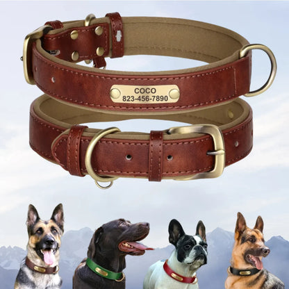 Personalized Leather Custom Dog Collar Soft Padded