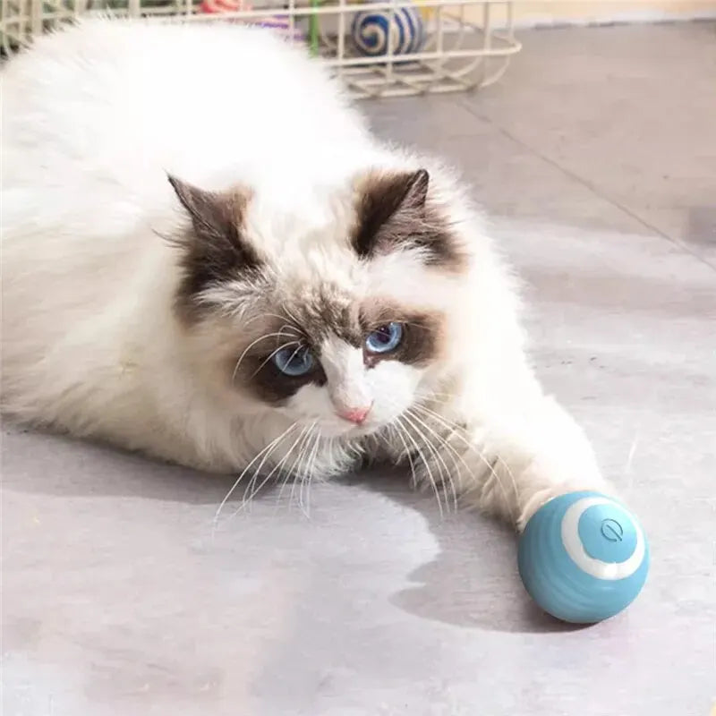 Cat Interactive Ball Training Self-moving Kitten Electric Cat Ball Toys