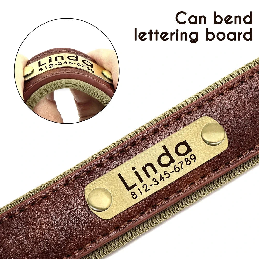 Personalized Leather Custom Dog Collar Soft Padded