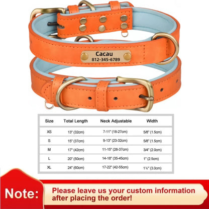 Personalized Leather Custom Dog Collar Soft Padded