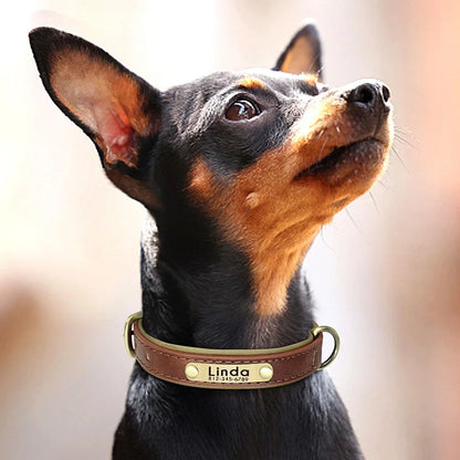 Personalized Leather Custom Dog Collar Soft Padded